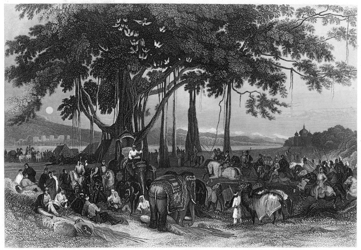 Sih düzensiz süvari birliğinin gelişi, Hindistan, c1860 by Unbekannt