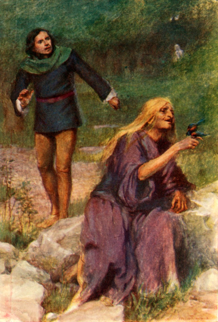 "Yaşlı kadın kuşla oynamaya kendini kaptırmıştı", 1917. by Unbekannt