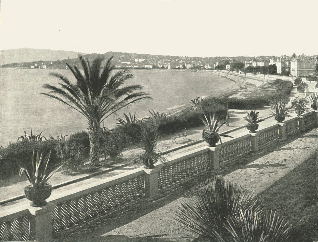 La Croisette Panoraması, Cannes, Fransa, 1895. by Unbekannt