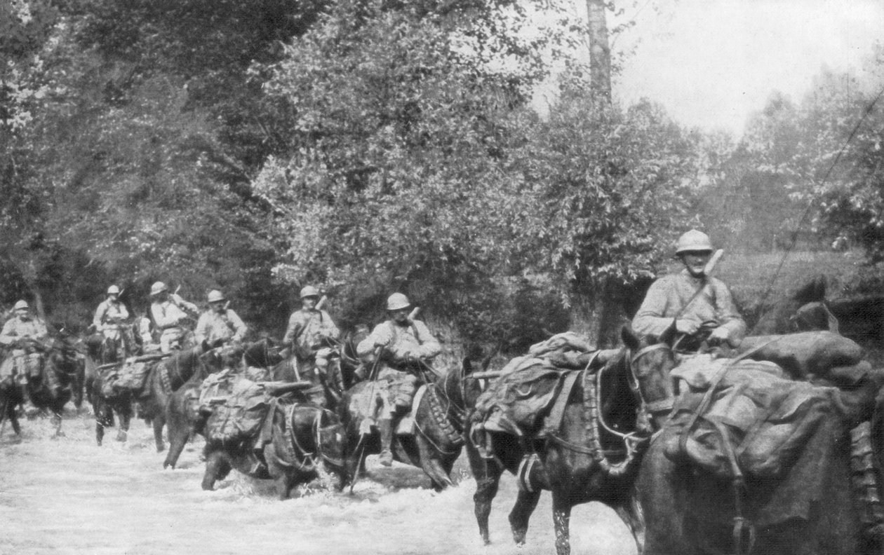 At sırtında bir makineli tüfek biriminin yeniden ikmali, Aisne, Fransa, 2 Eylül 1918 by Unbekannt