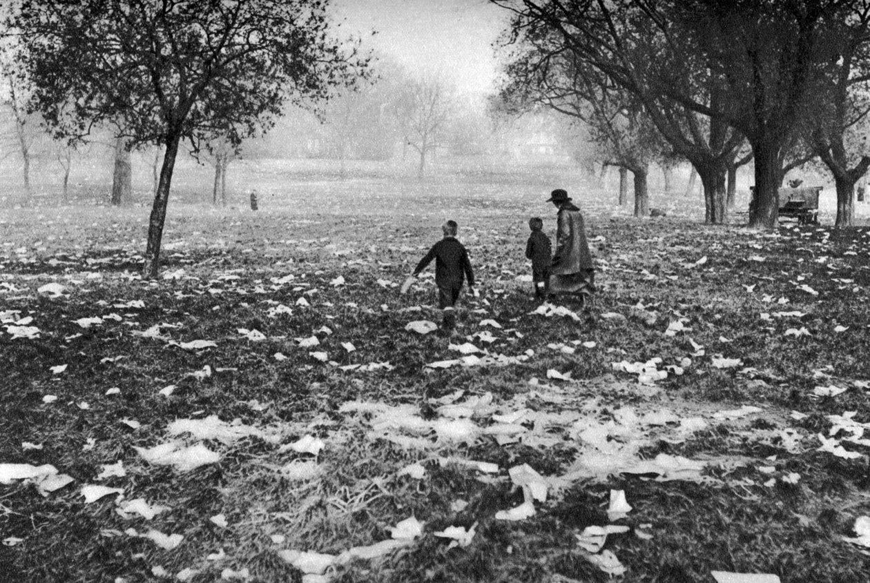 Bir banka tatilinden sonra Hampstead Heath