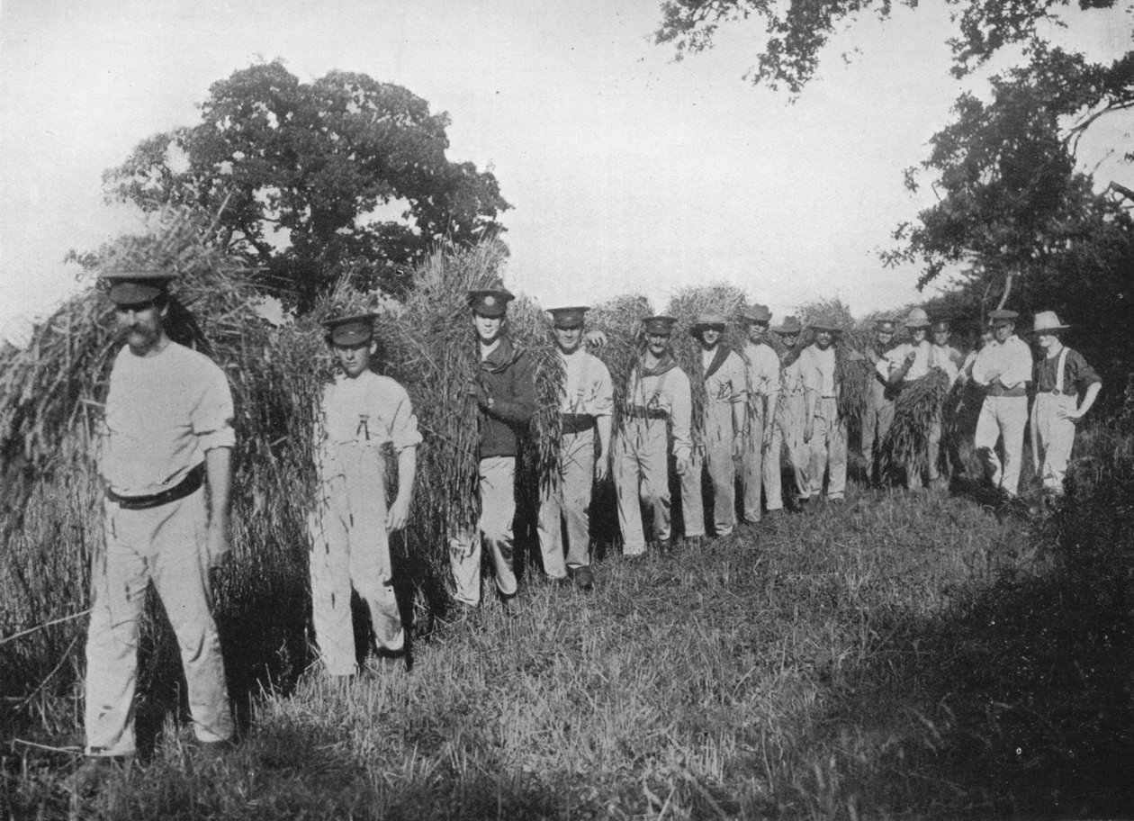 Tarım işçiliği sıkıntısı: Hasata yardım eden askerler, 1915 by Unbekannt
