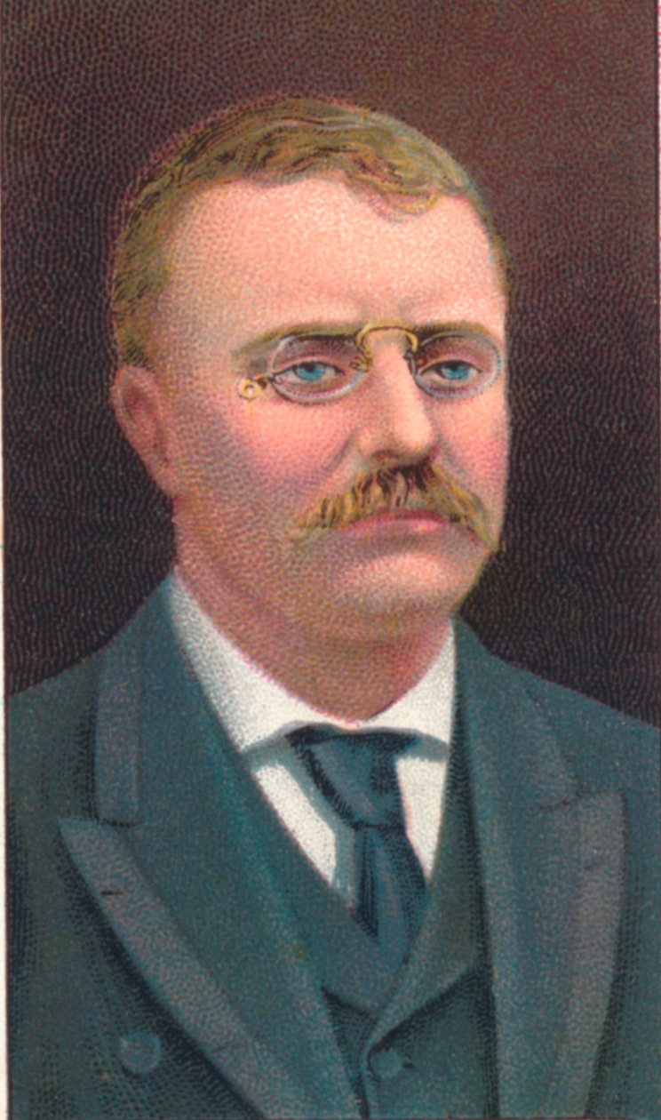 Theodore Roosevelt 1858-1919, Amerika Birleşik Devletleri