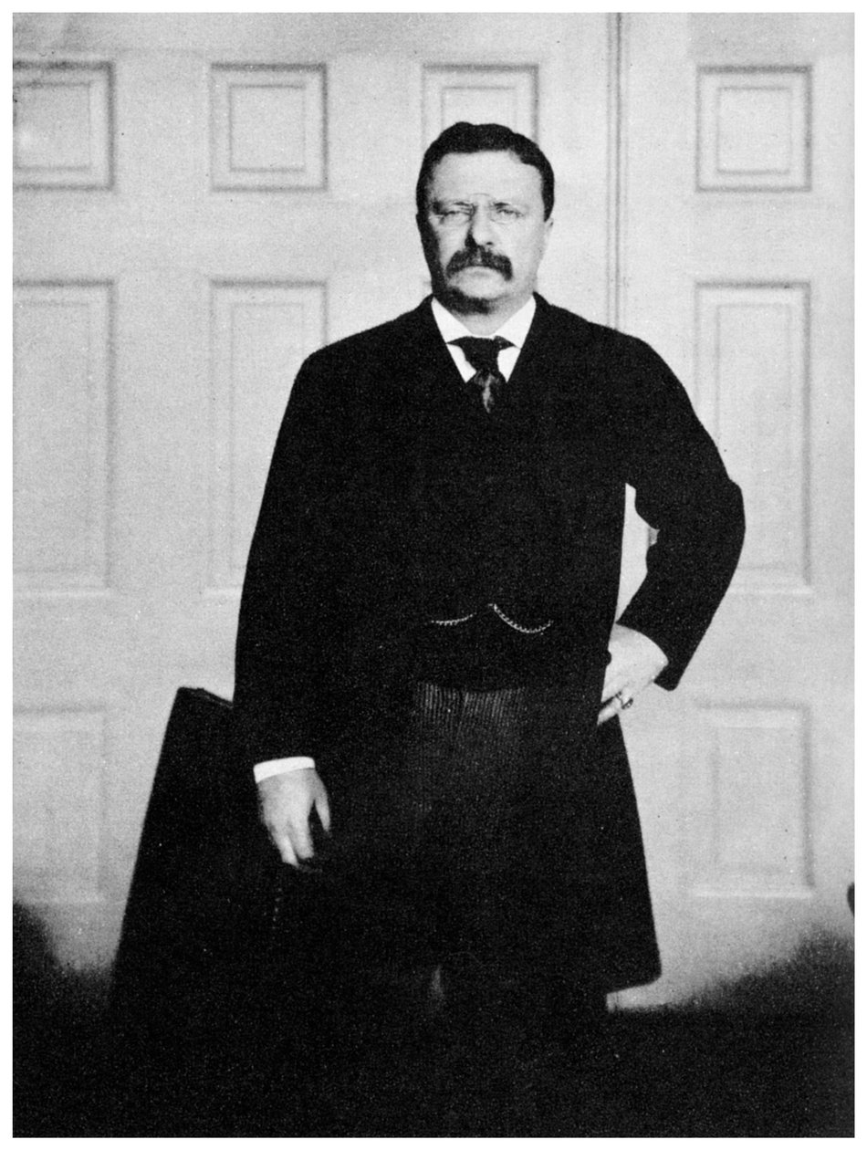 Theodore Roosevelt, Amerika Birleşik Devletleri