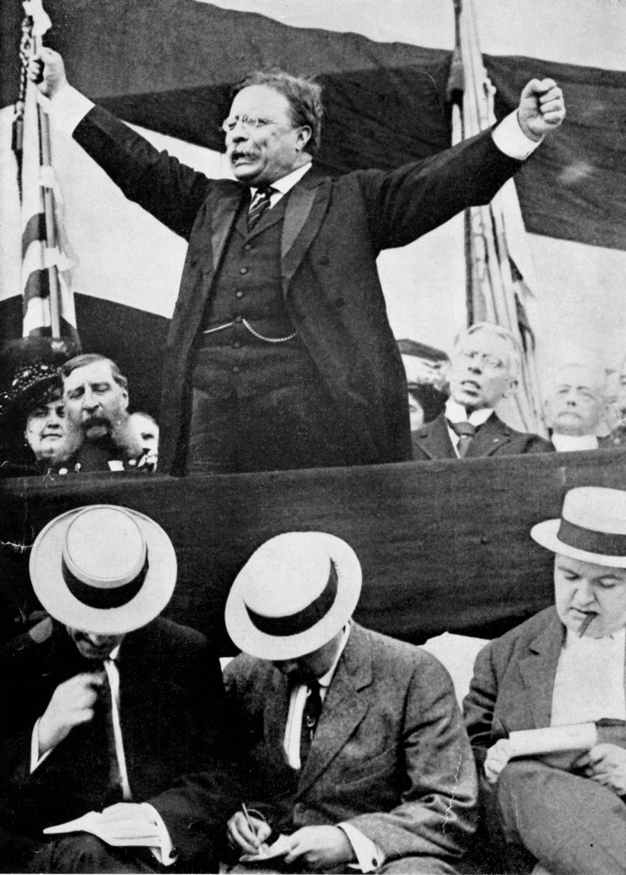 Theodore Roosevelt, Amerikan Başkanı, 1901-1909 by Unbekannt