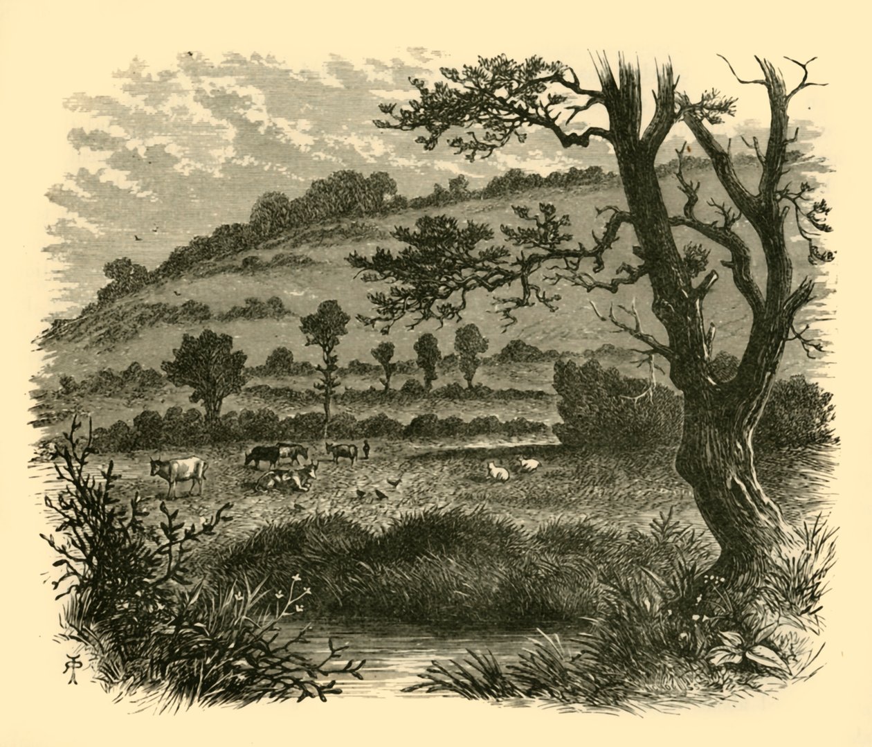Devedikeni, 1898. by Unbekannt