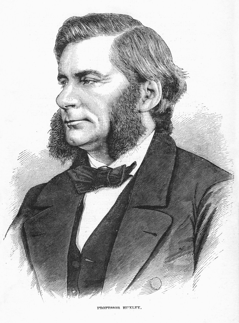 Thomas Henry Huxley, İngiliz biyolog, c1860