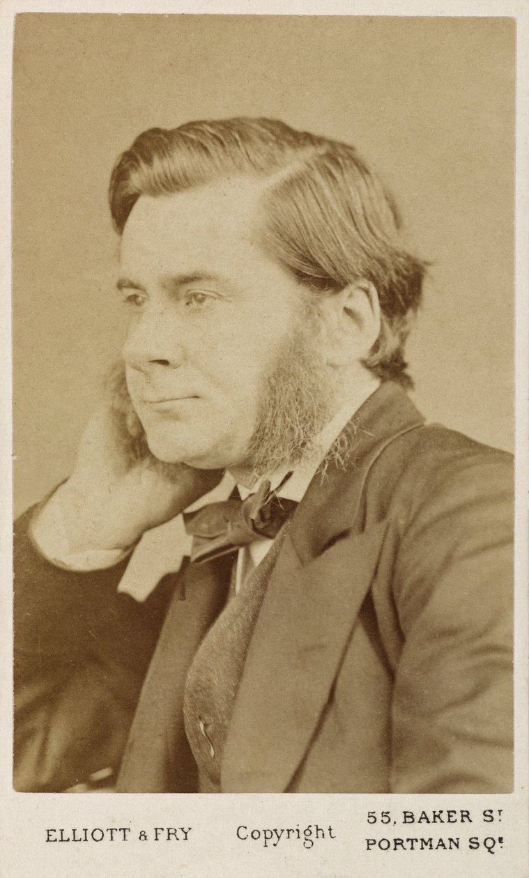 Thomas Henry Huxley, İngiliz biyolog, c1865-1886 by Unbekannt