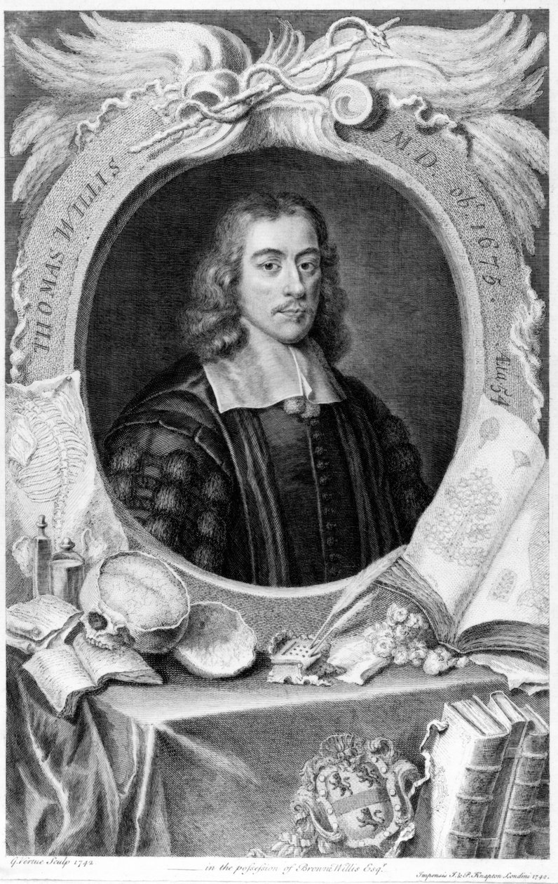 Thomas Willis, İngiliz doktor, 1660 dolayları by Unbekannt