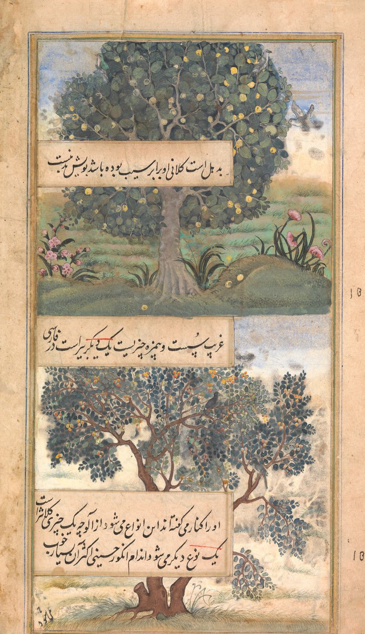 Hindistan