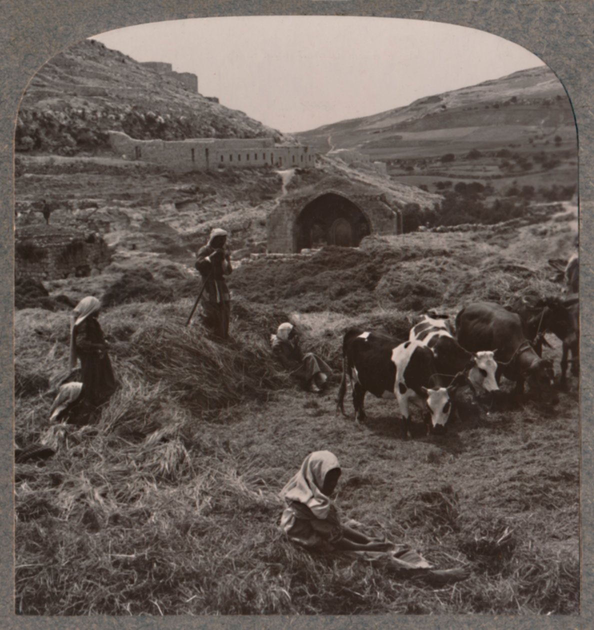 Jacobs Well, c1900 yakınlarında harman tahılı by Unbekannt