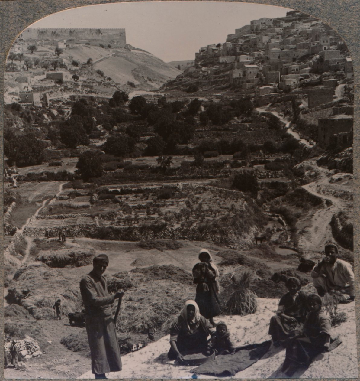 Kedron vadisine bakan çatıda harman, c1900 by Unbekannt