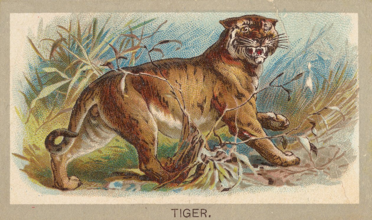 Abdul Cigarettes, 1881 tarafından yayınlanan Animals of the World serisi T180