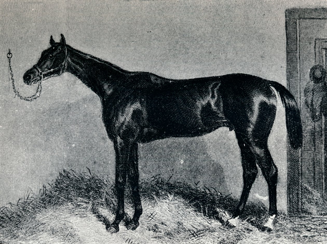 Tim Whiffler, c1860'lar, 1911 by Unbekannt
