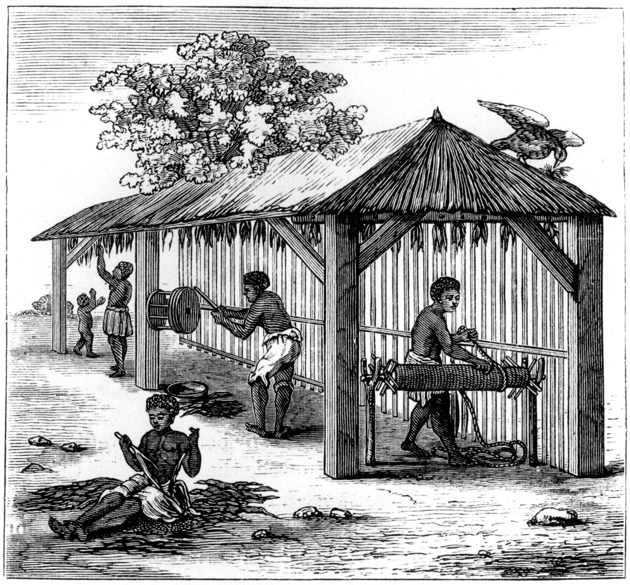 Tütün hazırlama, 1873 by Unbekannt