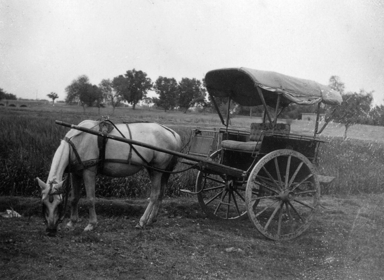Tonga at arabası, Muttra, Hindistan, 1917 by Unbekannt
