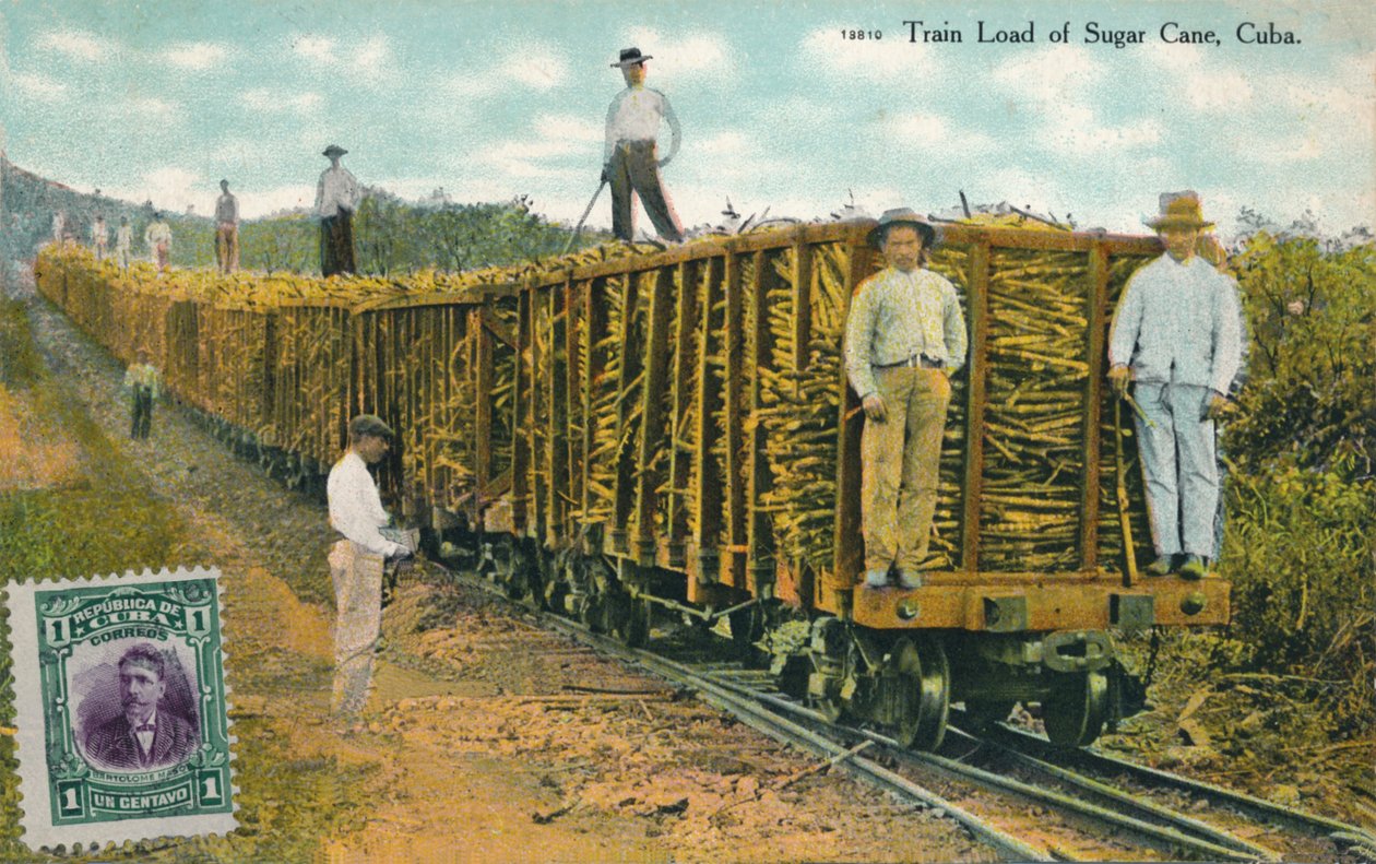 Şeker Kamışı Tren Yükü, Küba, 1911 by Unbekannt