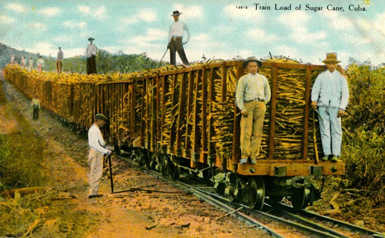 Şeker Kamışı Tren Yükü, Küba, c1910s. by Unbekannt