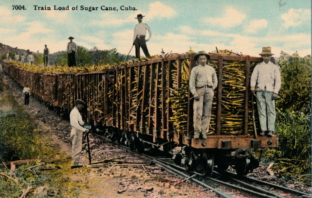 Tarladan çıkan Şeker Kamışı Tren Yükü, Küba, 1915 by Unbekannt