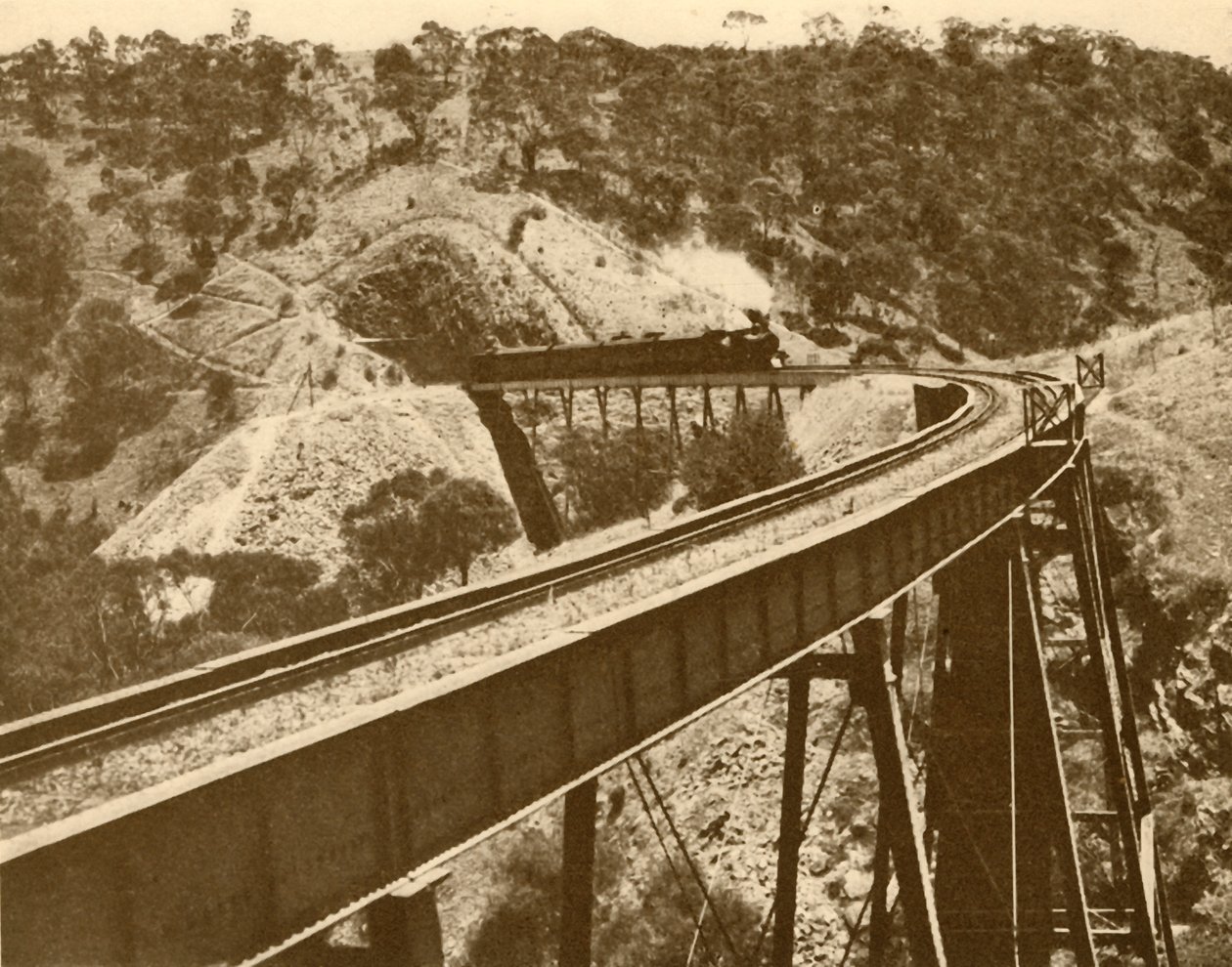 Viyadük Üzerinden Geçen Tren, Mount Lofty Range, Güney Avustralya, 1930. by Unbekannt