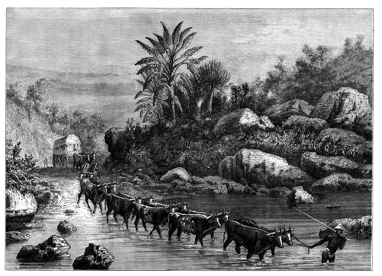 Griqualand, Güney Afrika
