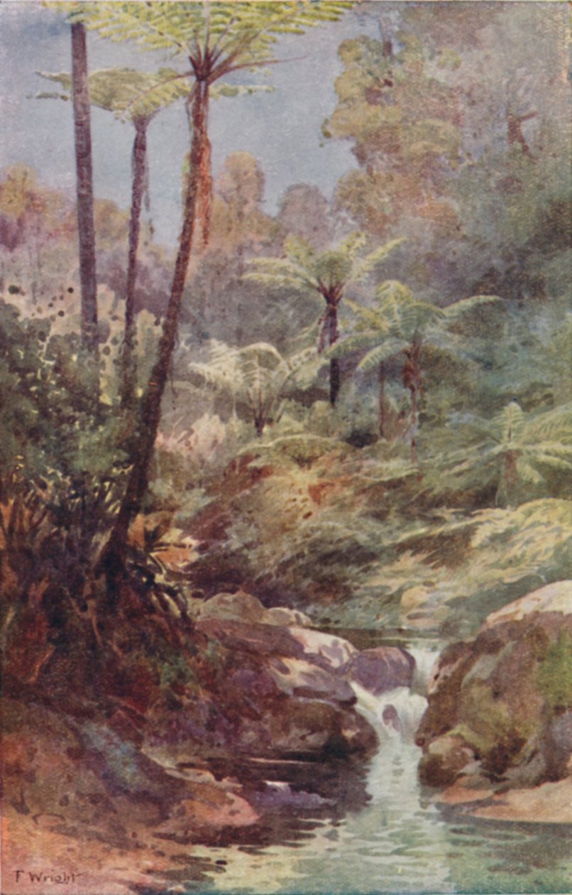 Ağaç Eğreltileri, 1923. by Unbekannt