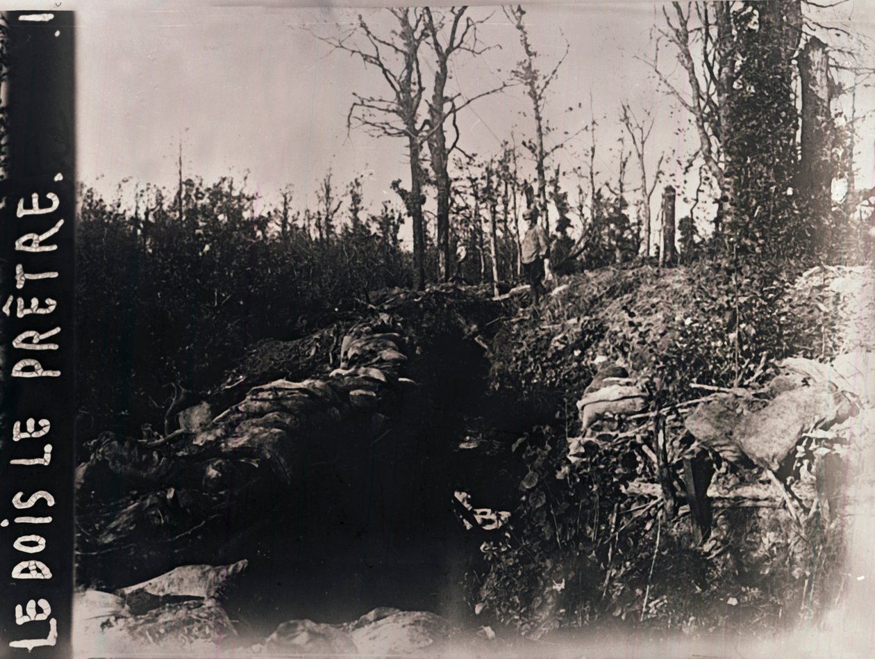Siperler, Bois-le-Prêtre, Lorraine, kuzey Fransa, c1914-c1918 by Unbekannt