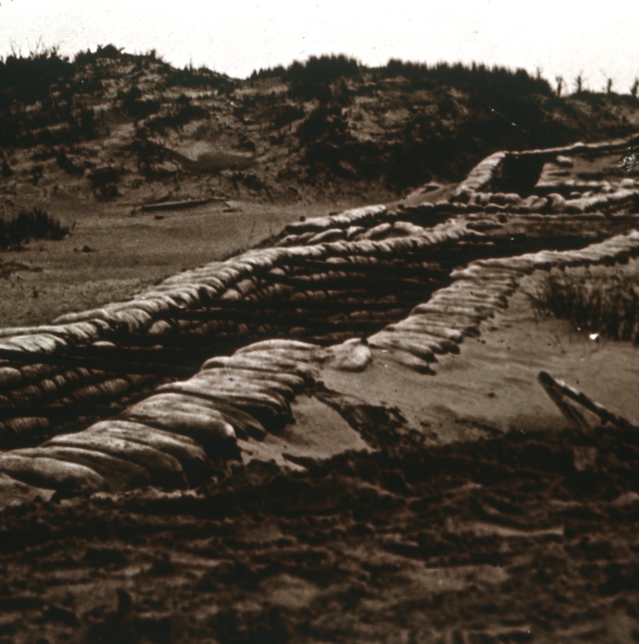Kum tepelerinin sığınağındaki siperler, Nieuwpoort, Flanders, Belçika, c1914-c1918 by Unbekannt