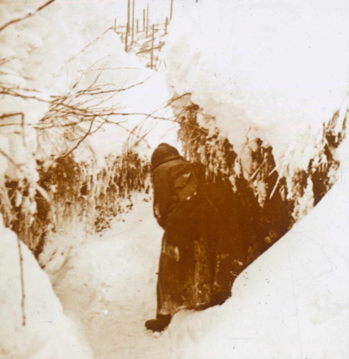 Karda siperler, Alsace, Doğu Fransa, c1914-c1918 by Unbekannt