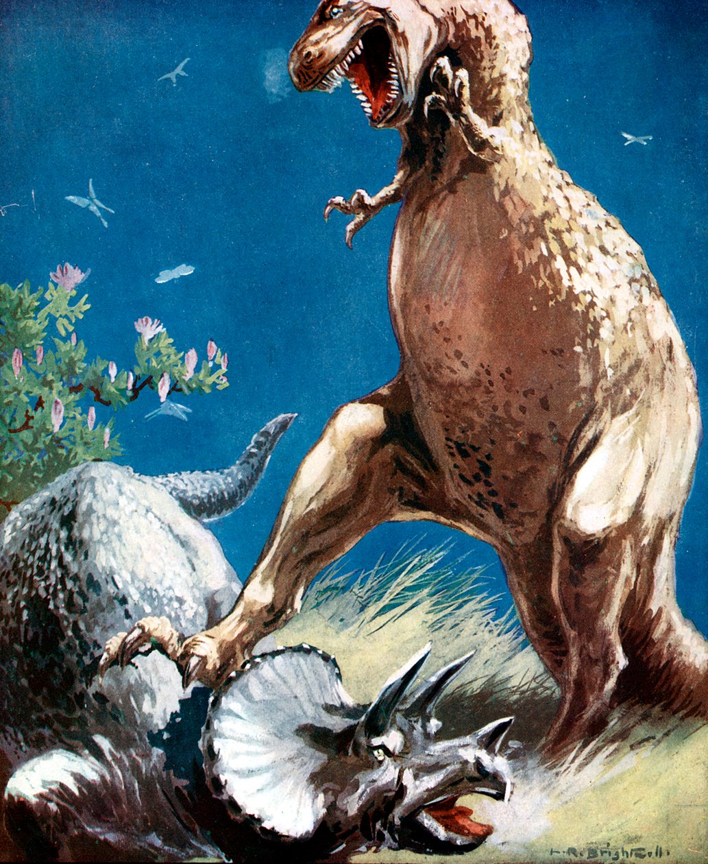 Triceratops, bir Tyrannosaur tarafından aşağı tutulan boynuzlu bir dinozor, c1920 by Unbekannt