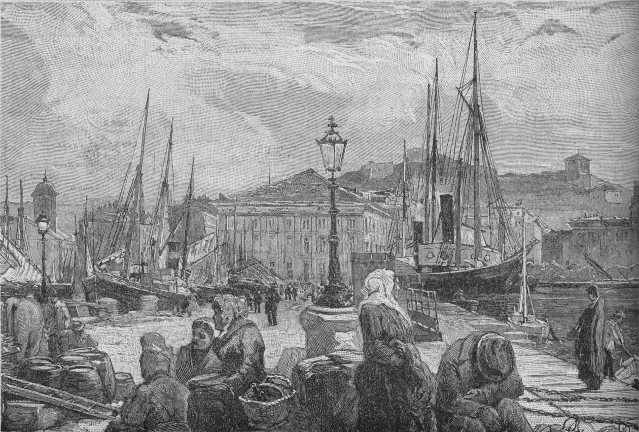Trieste Limanı, 1902 by Unbekannt