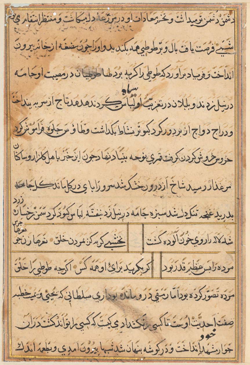 Tuti-Nama (Bir Papağan Masalları) by Unbekannt Unbekannt
