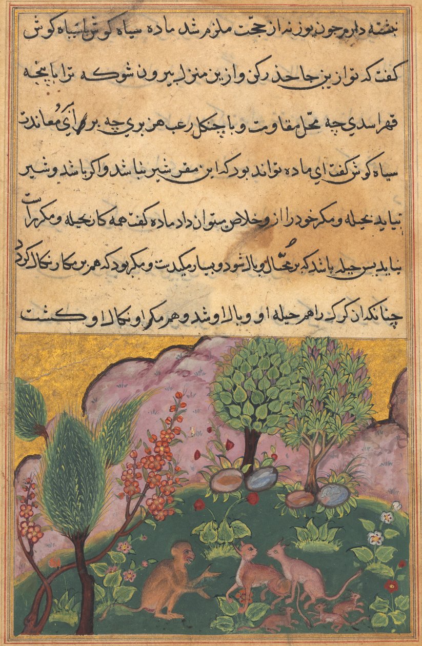 Tuti-Nama (Bir Papağan Masalları), Masal XXIX by Unbekannt Unbekannt