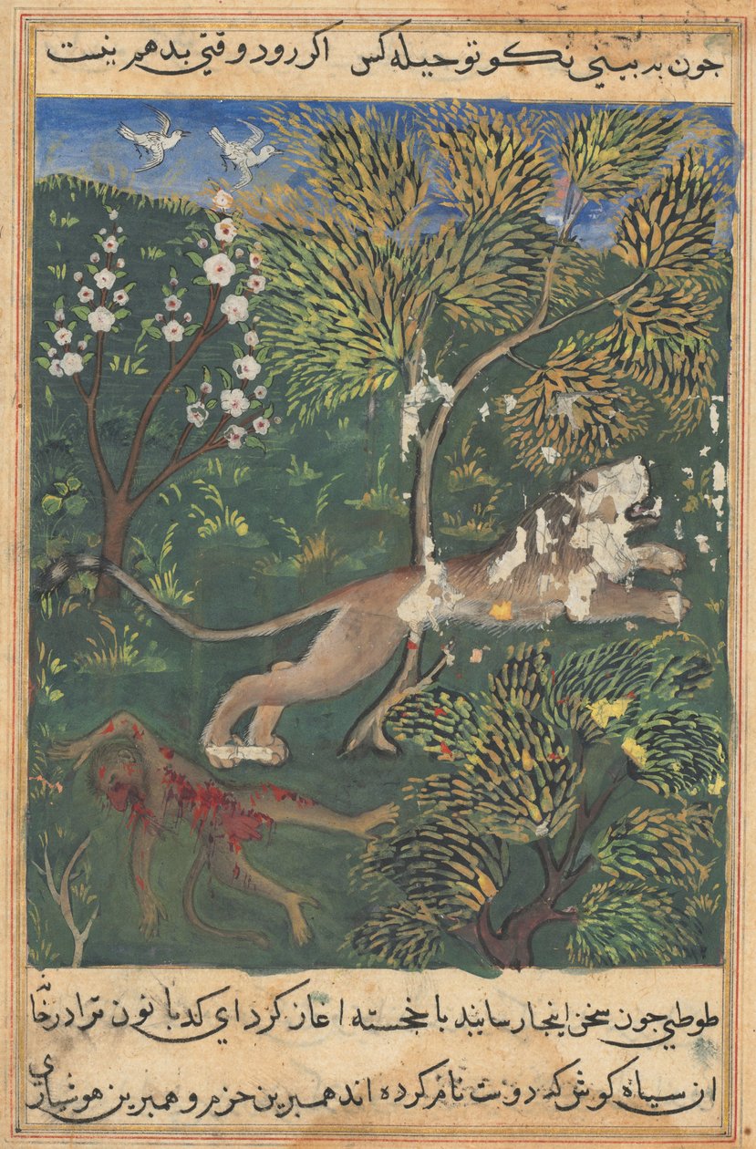 Bir Papağanın Tuti-Nama Masalları: Masal XXIX, c. 1560. by Unbekannt