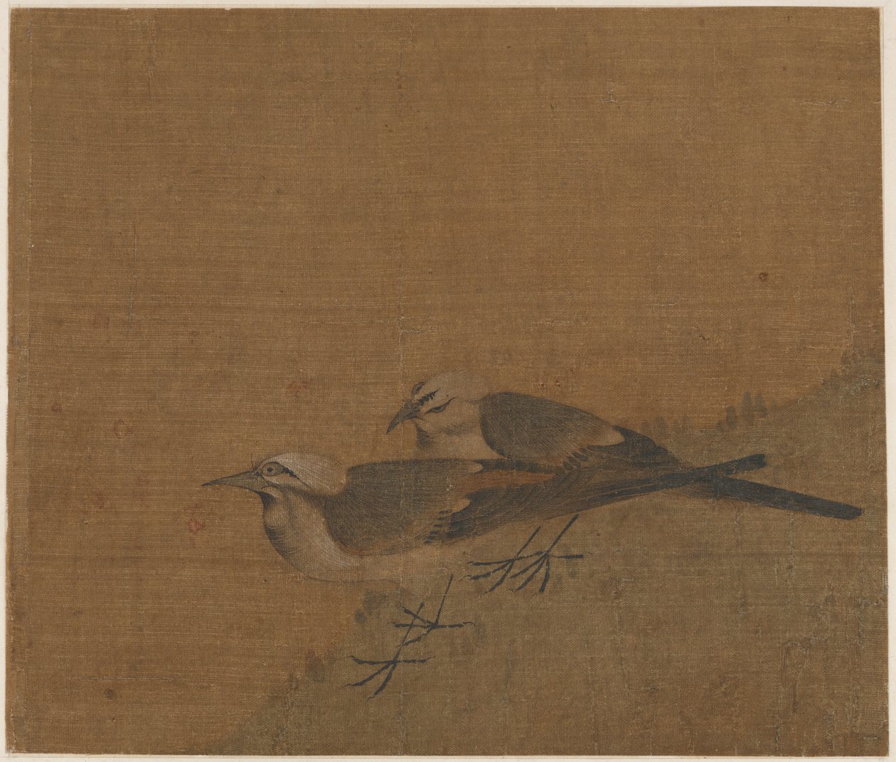 İki alaca kuyruksallayan, Yuan hanedanı, 14. yüzyıl. by Unbekannt