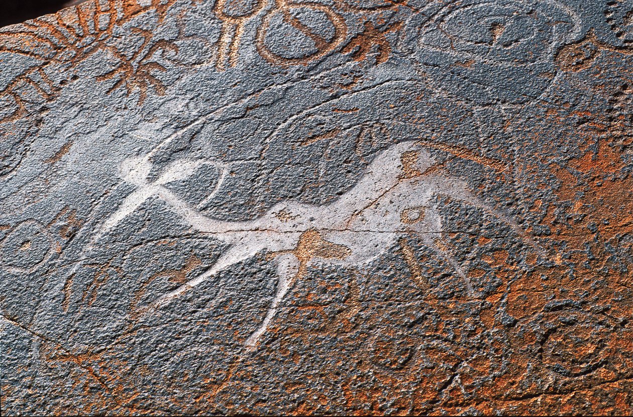 Twyfelfontein kaya resimleri, DAMARALAND, NAMİBİE by Unbekannt