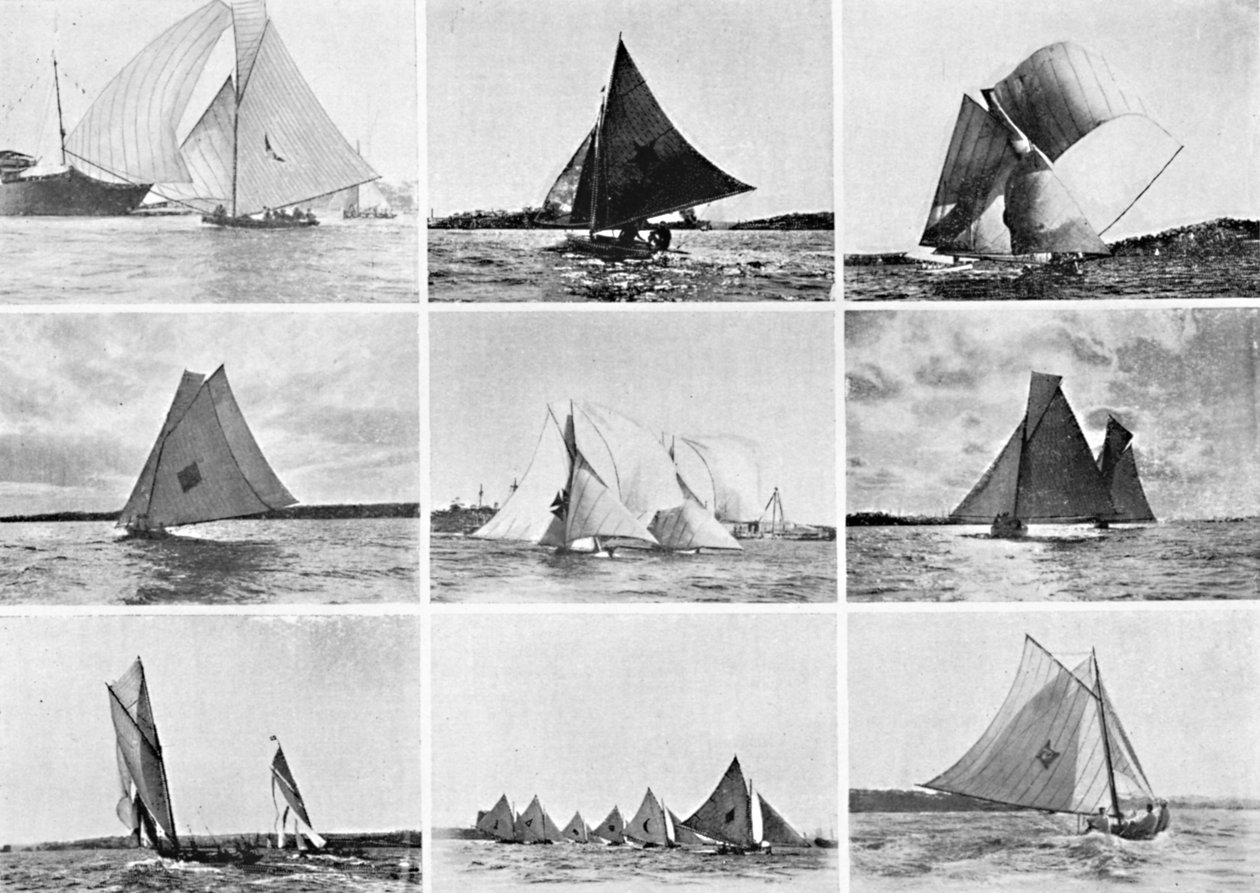 Tipik Sidney Limanı Yatçılık Sahneleri, c1900. by Unbekannt