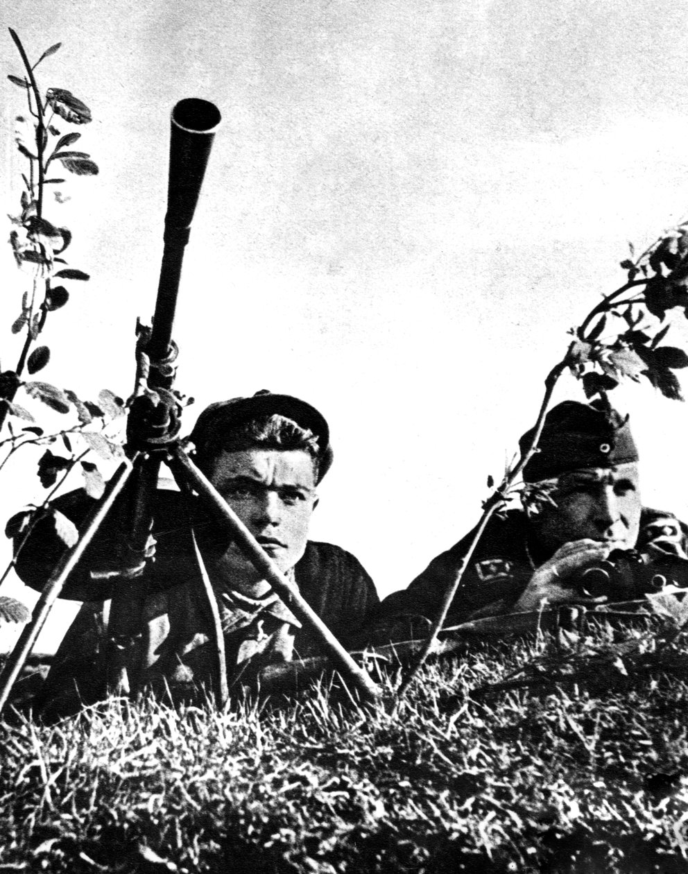 Alman ordusunda hizmet veren Ukraynalı, Rus Cephesi, 1941-1944 by Unbekannt
