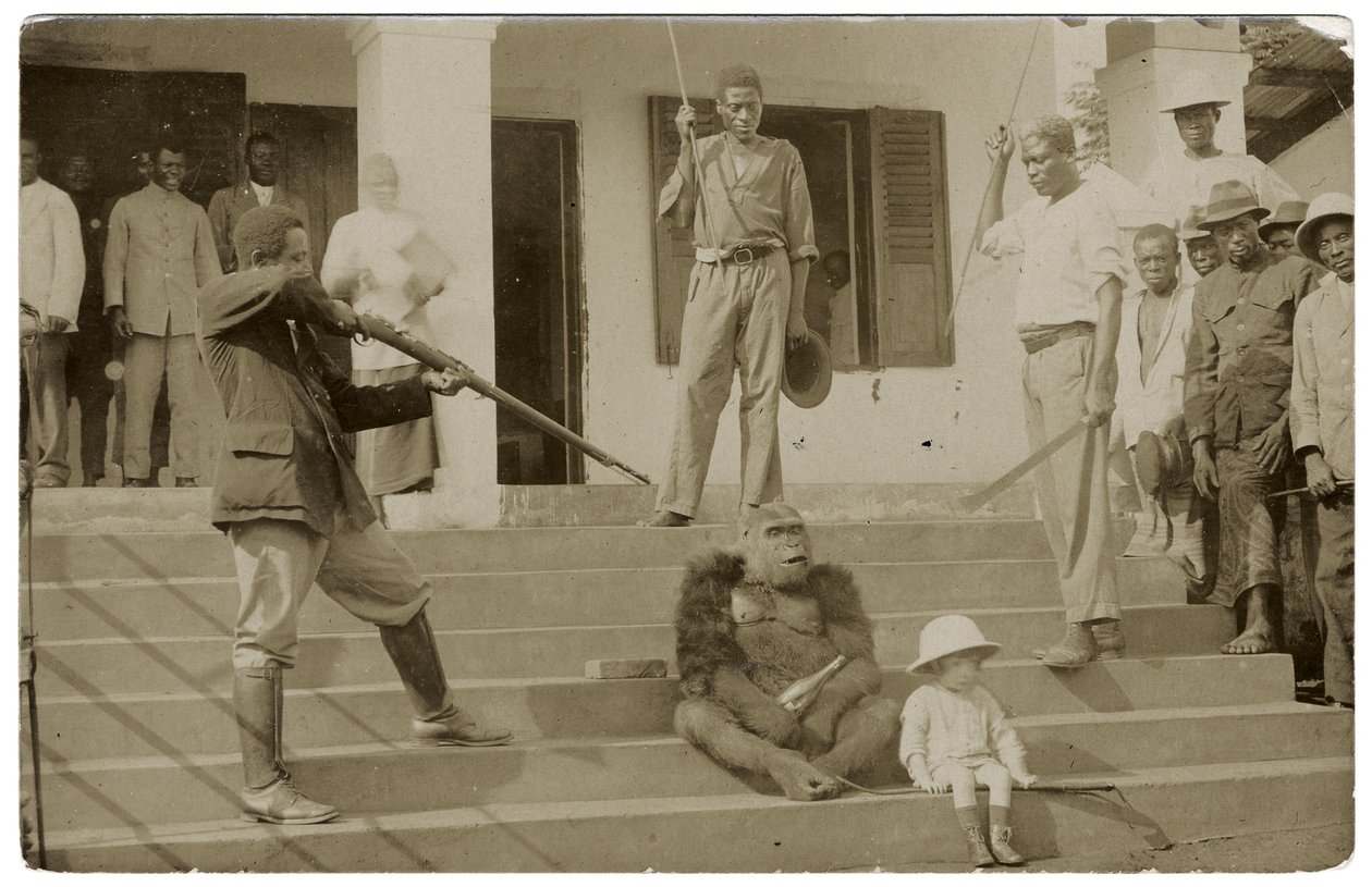 Evcilleştirilmiş bir goril, c.1910 (s / b fotoğraf) by Unbekannt