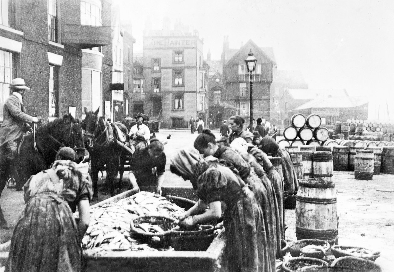 Birleşik Krallık : İskoç Ringa Olukları Scarborough