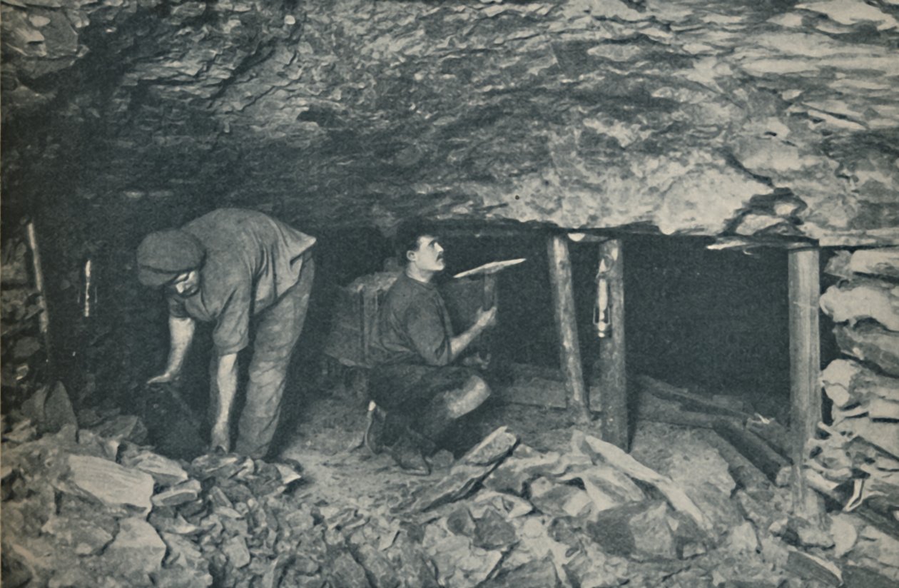 Tehlikelerle Yüzleşen Bilinçsiz Kahramanlar, c1935 by Unbekannt