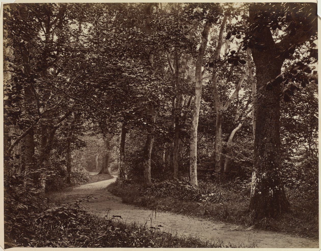 İsimsiz Manzara, 1860