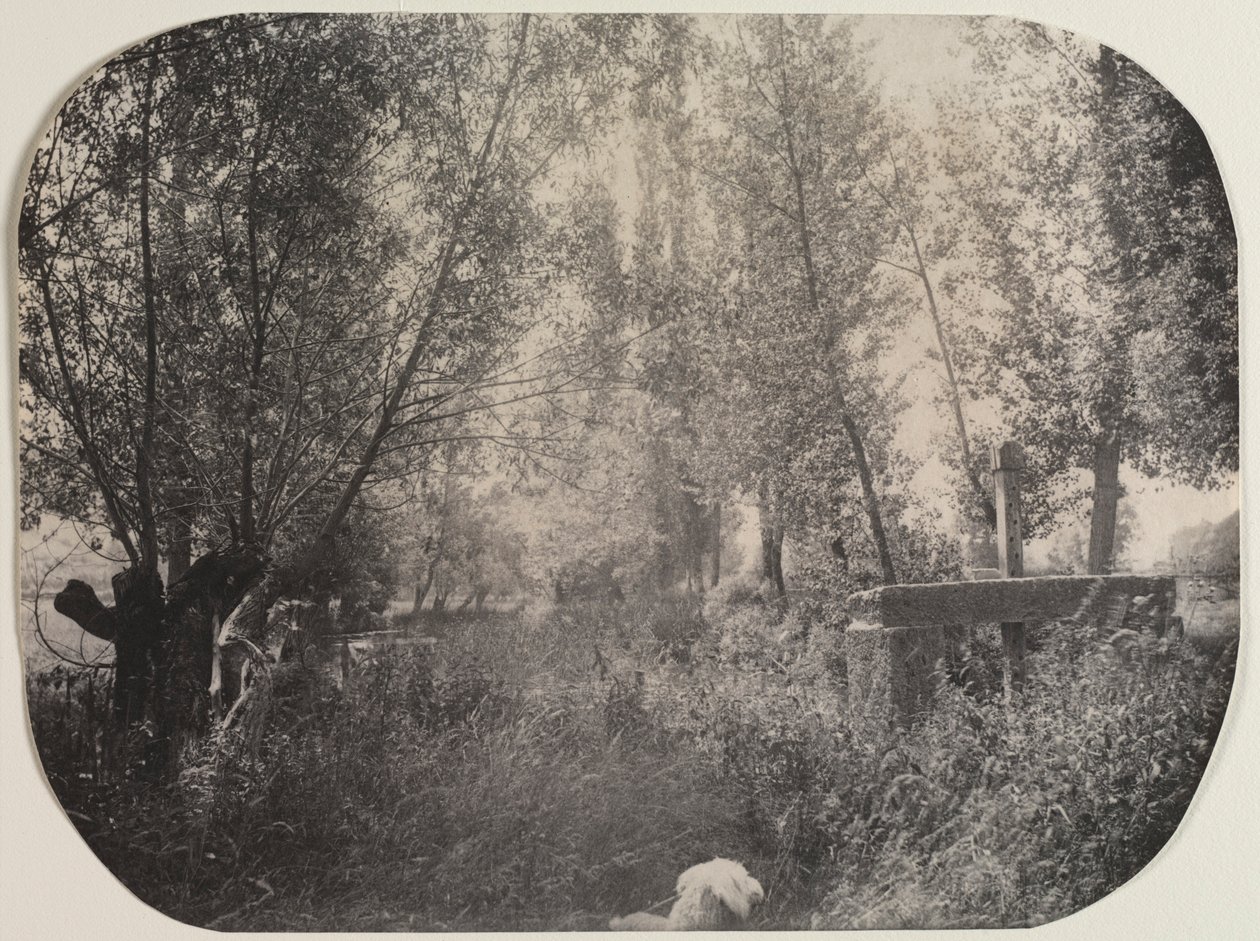 İsimsiz Köpekli Manzara, c. 1910. by Unbekannt