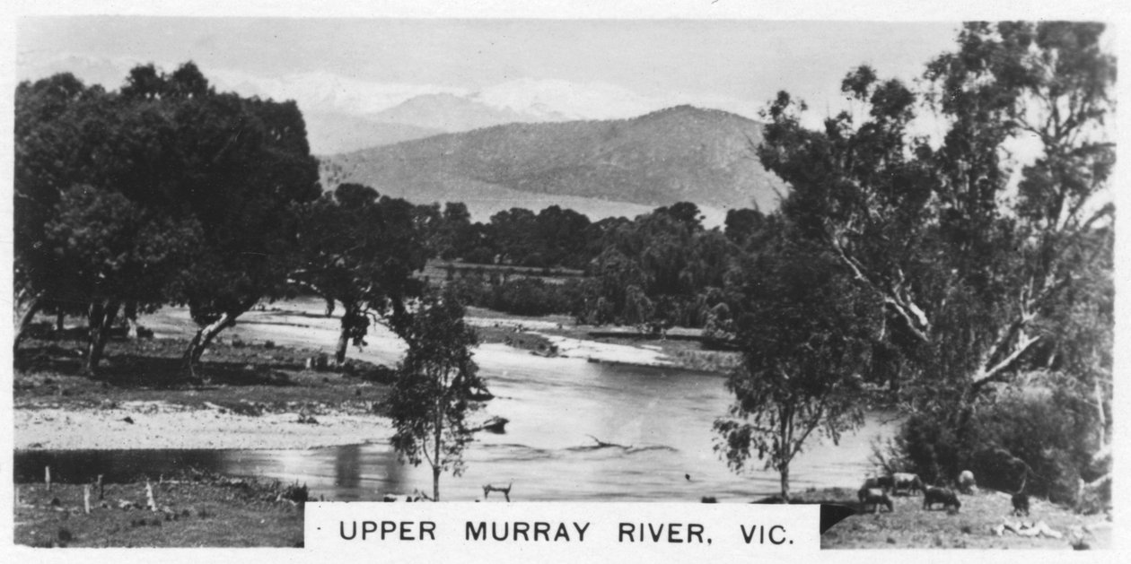 Upper Murray Nehri, Victoria, Avustralya, 1928 by Unbekannt