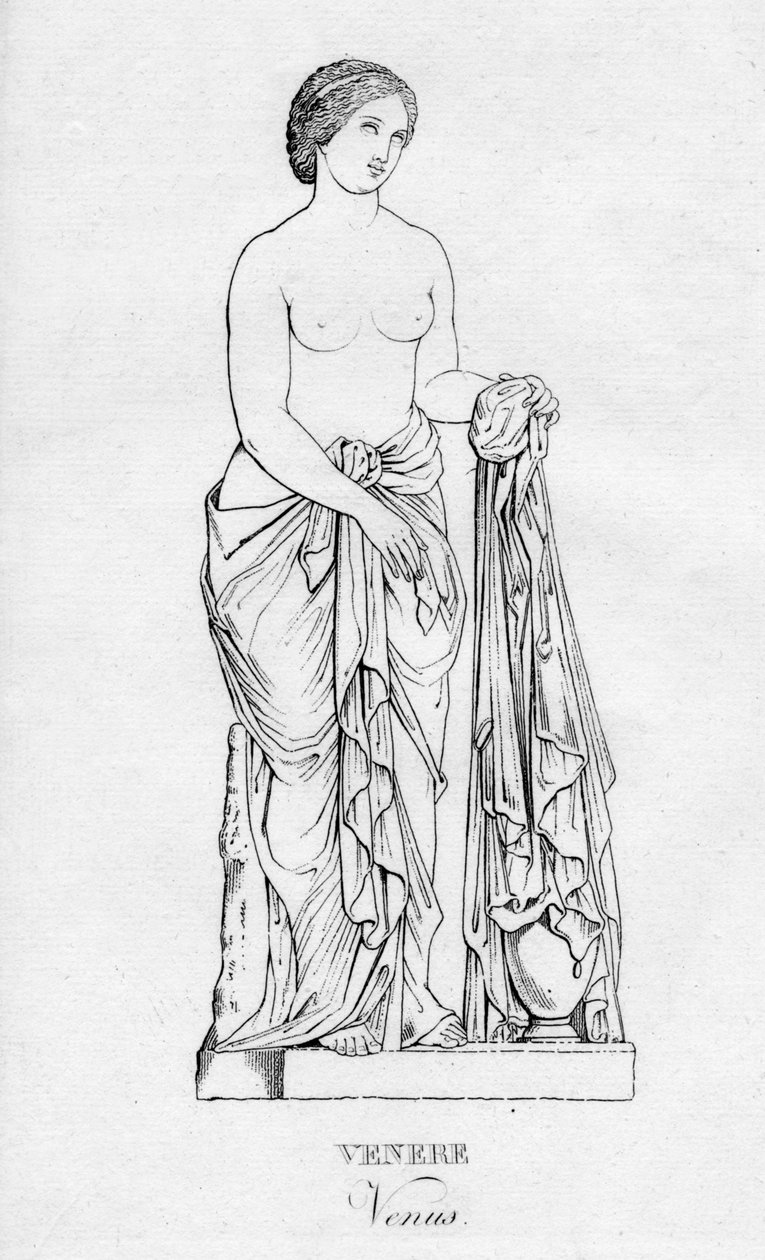Venere Venüs, c1850 by Unbekannt