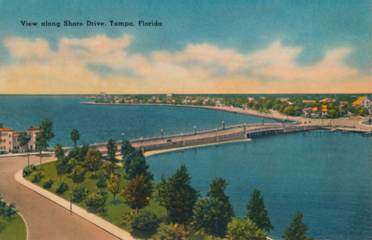 Shore Drive, Tampa, Florida boyunca görüntüleyin., c1940s by Unbekannt