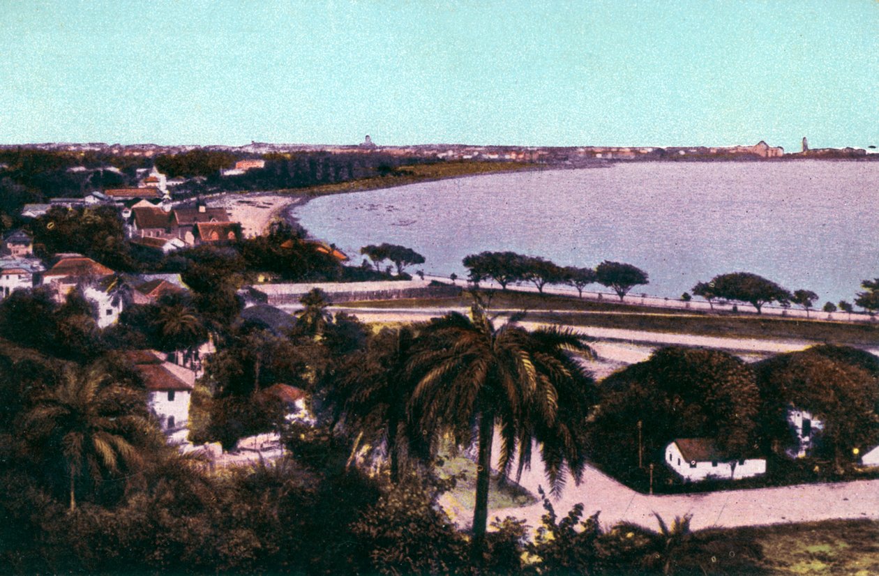 Malabar Tepesi