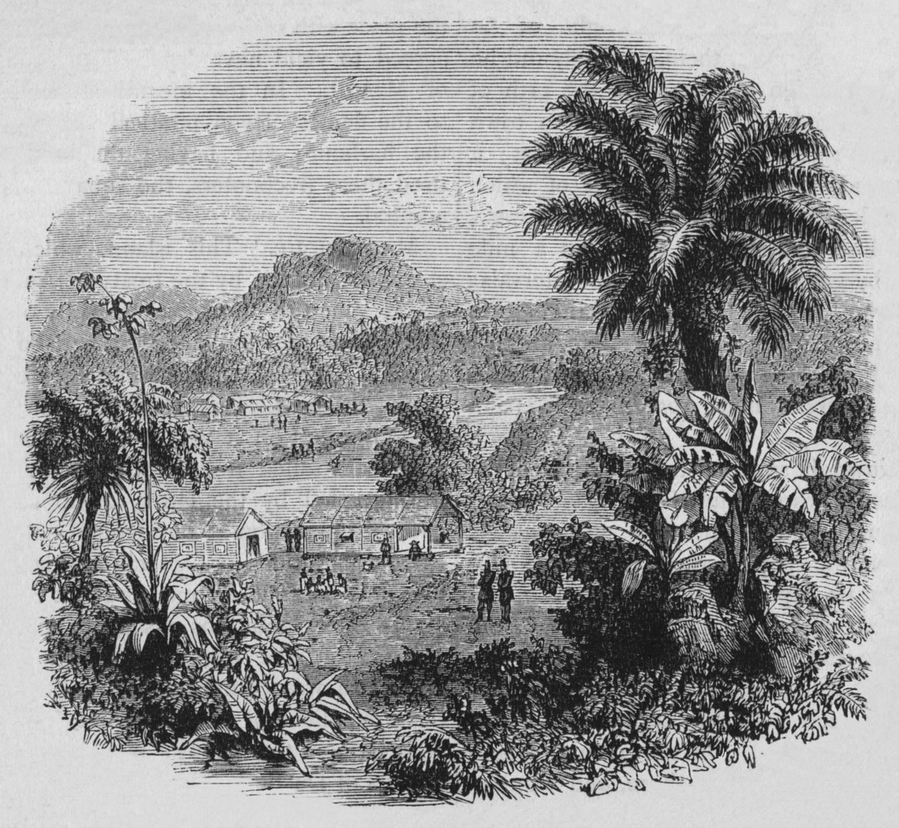 Cayenne'de görünüm, c1880 by Unbekannt