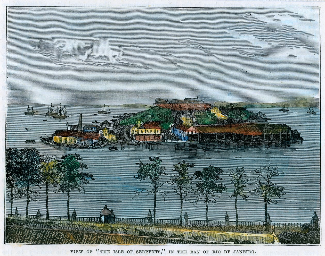 Rio de Janeiro Körfezi