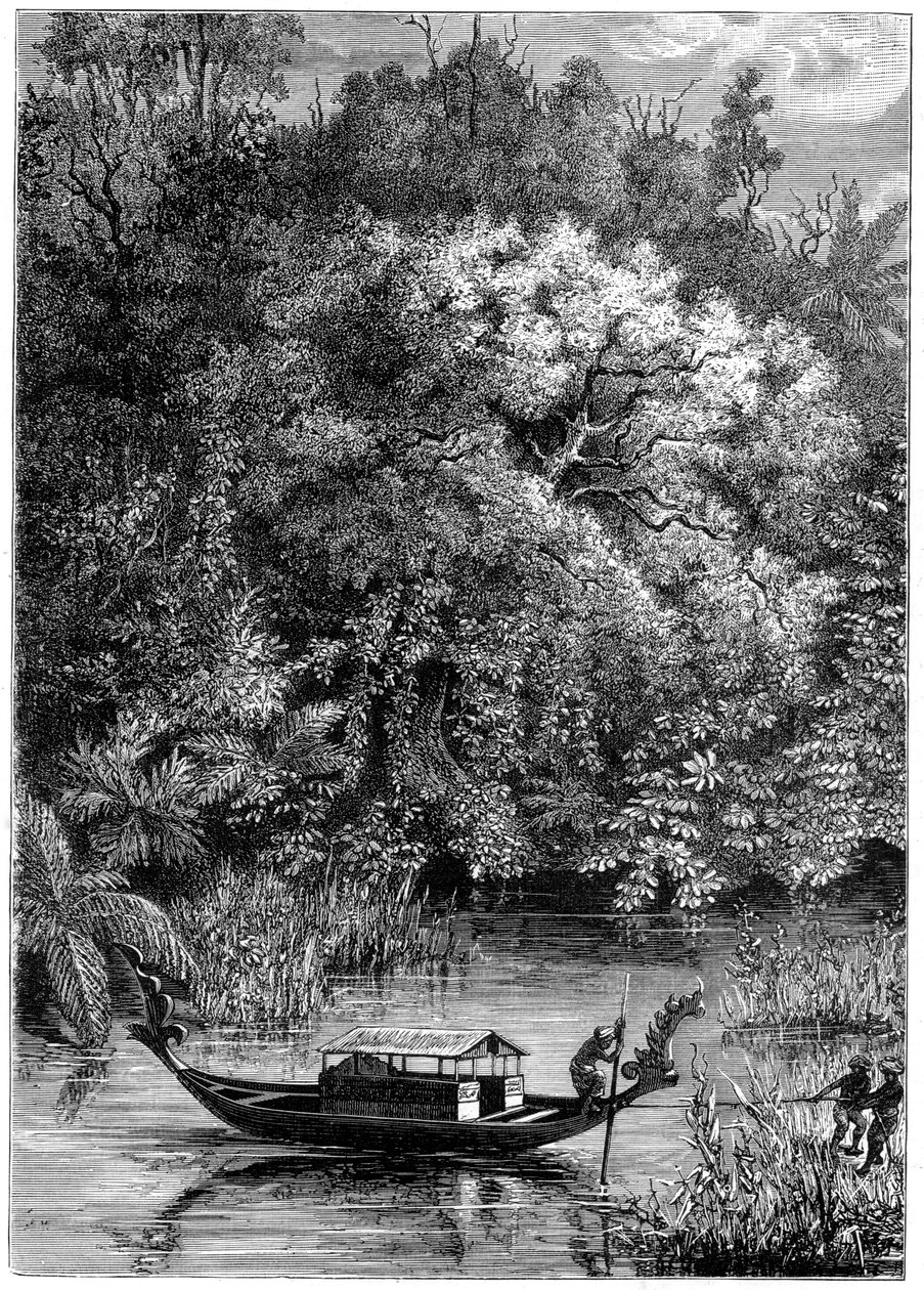 Dodinga Nehri üzerinde görünüm, Yeni Gine, 1877 by Unbekannt